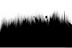 Photo Texture of Brush Strokes